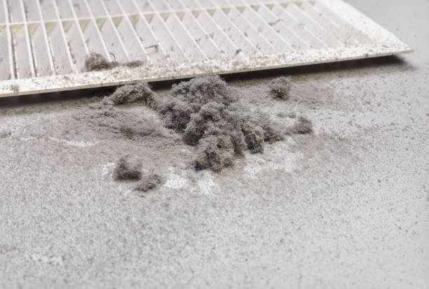 Best Air Vent Cleaning Services  in Franklin, MI